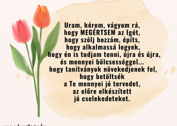 Köszönöm