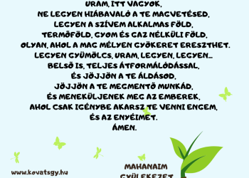 Sokszor csalódom, talán, de nem adom fel.