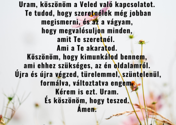 Mi kapcsolatra vagyunk teremtve.