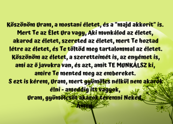 Milyen jó, hogy ők majd találkoznak. 