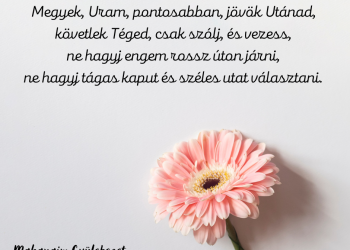 Legyen a Te Igéd erős