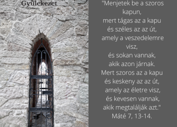 Gyönyörű a magvetés.