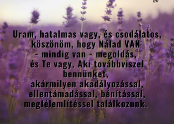 Győztes...