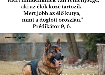 Legyen áldás, rajtad