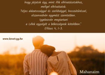 Van benne szerelem, van benne hűség