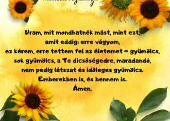 De mindez mit ér, ha nem terem gyümölcsöt? 