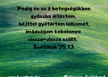 Áldás legyen minden ilyen magvetéseden... 