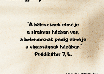 Ameddig lehet... 