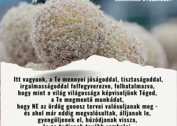 Legyen tere a tiszta