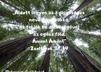 Aki elvette a betegségeinket, és elhordozta ezeket...