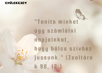 Mindennek ideje van. Ideje van az alvásnak is.