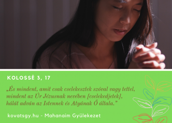 És mindent, amit csak cselekesztek szóval vagy tettel, mindent az Úr Jézusnak nevében [cselekedjetek], hálát adván az Istennek és Atyának Ő általa.
