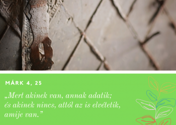 Mert akinek van, annak adatik; és akinek nincs, attól az is elvétetik, amije van.
