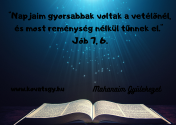 Meg akarom érteni, amit Te szeretnél, s megtenni, amit csak most lehet. 