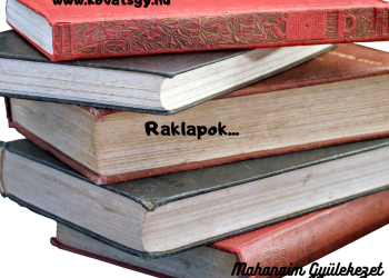 Uram, köszönöm a raklapokat.