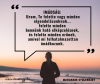 Amikor még nem látszik, akkor is...