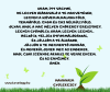 Sokszor csalódom, talán, de nem adom fel.