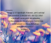 Hogy a ti kipróbált hitetek, ami sokkal becsesebb a veszendő, de tűz által kipróbált aranynál, dicséretre, tisztességre és dicsőségre méltónak találtasson a Jézus Krisztus megjelenésekor.