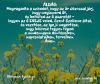  Mert az Urat akarod, Őt akarod megismerni, és Vele akarsz járni...