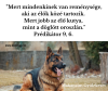 Legyen áldás, rajtad