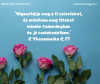 A kérdés, hogy ez a "félre kell az útból tolatnia" mit jelent?