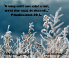 Ezért szól neked, időben