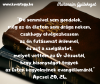 Szeretem a számvetést.