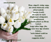 "ha az Isten velünk, kicsoda ellenünk..."